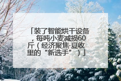装了智能烘干设备，每吨小麦减损60斤（经济聚焦·夏收里的“新选手”）