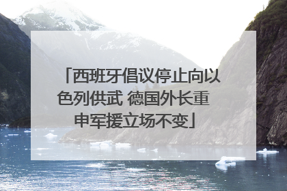 西班牙倡议停止向以色列供武 德国外长重申军援立场不变