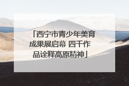 西宁市青少年美育成果展启幕 四千作品诠释高原精神