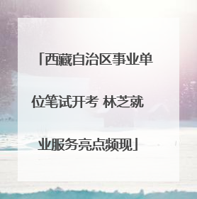 西藏自治区事业单位笔试开考 林芝就业服务亮点频现