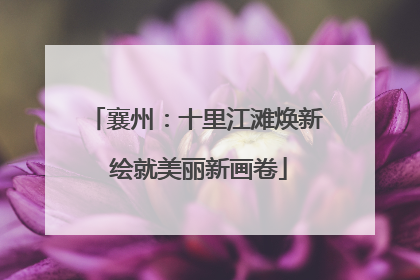 襄州：十里江滩焕新 绘就美丽新画卷