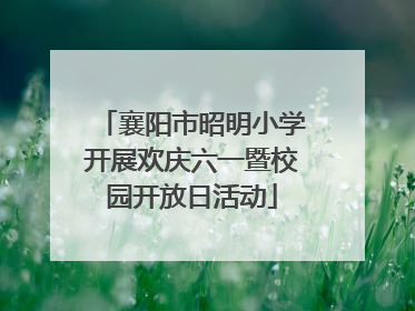 襄阳市昭明小学开展欢庆六一暨校园开放日活动