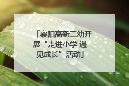 襄阳高新二幼开展“走进小学 遇见成长”活动