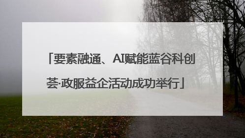 要素融通、AI赋能蓝谷科创荟·政服益企活动成功举行