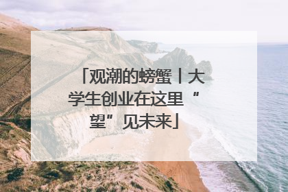观潮的螃蟹丨大学生创业在这里“望”见未来