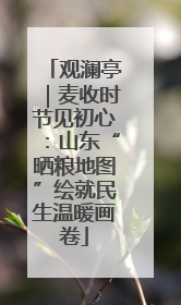 观澜亭｜麦收时节见初心：山东“晒粮地图”绘就民生温暖画卷