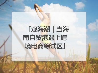 观海潮｜当海南自贸港遇上跨境电商综试区