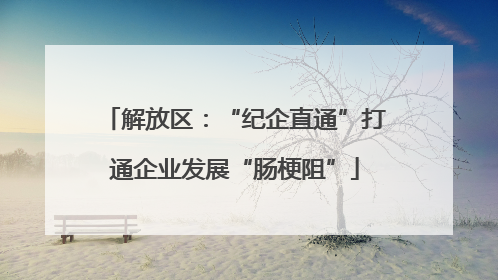 解放区：“纪企直通”打通企业发展“肠梗阻”