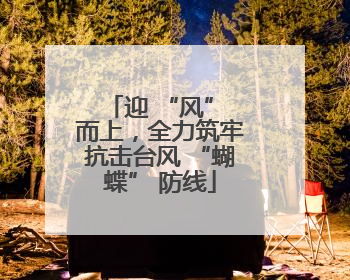 迎 “风” 而上，全力筑牢抗击台风 “蝴蝶” 防线