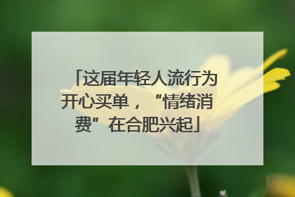 这届年轻人流行为开心买单，“情绪消费”在合肥兴起