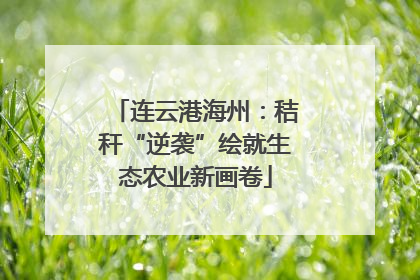 连云港海州：秸秆“逆袭”绘就生态农业新画卷