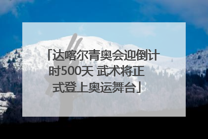 达喀尔青奥会迎倒计时500天 武术将正式登上奥运舞台