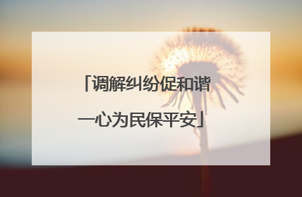 调解纠纷促和谐 一心为民保平安
