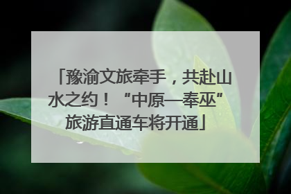 豫渝文旅牵手，共赴山水之约！“中原—奉巫”旅游直通车将开通