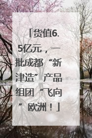 货值6.5亿元，一批成都“新津造”产品组团“飞向”欧洲！