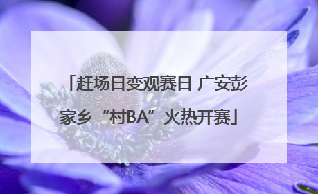 赶场日变观赛日 广安彭家乡“村BA”火热开赛