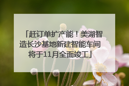 赶订单扩产能！美湖智造长沙基地新建智能车间将于11月全面竣工
