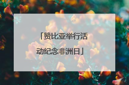 赞比亚举行活动纪念非洲日