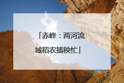 赤峰：两河流域稻农插秧忙