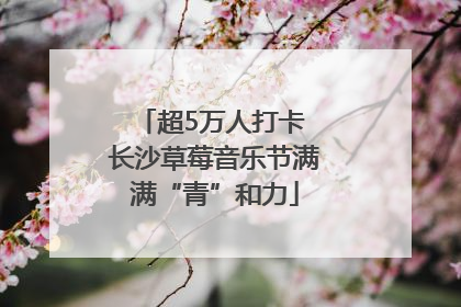 超5万人打卡 长沙草莓音乐节满满“青”和力
