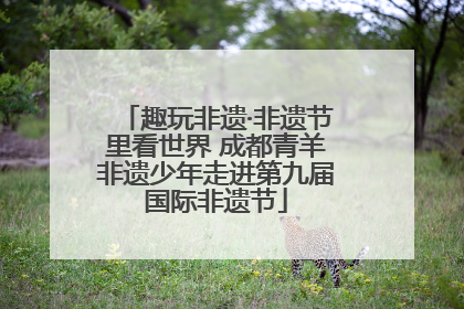 趣玩非遗·非遗节里看世界 成都青羊非遗少年走进第九届国际非遗节