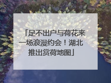 足不出户与荷花来一场浪漫约会！湖北推出赏荷地图