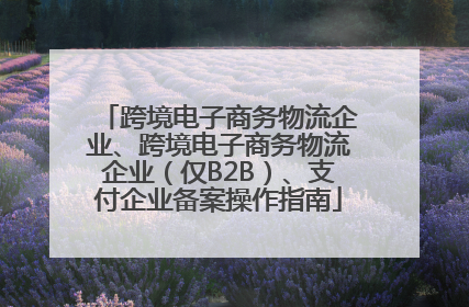 跨境电子商务物流企业、跨境电子商务物流企业（仅B2B）、支付企业备案操作指南