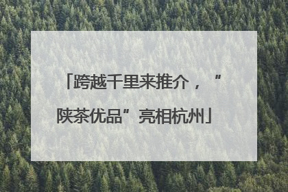 跨越千里来推介，“陕茶优品”亮相杭州