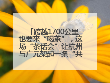 跨越1700公里也要来“喝茶”，这场“茶话会”让杭州与广元架起一条“共富之路”