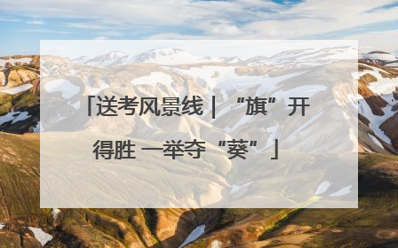 送考风景线｜“旗”开得胜 一举夺“葵”