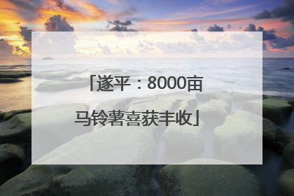 遂平：8000亩马铃薯喜获丰收