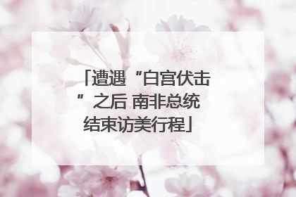 遭遇“白宫伏击”之后 南非总统结束访美行程