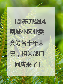 邵东邦盛凤凰城小区业委会筹备十年未果，相关部门回应来了