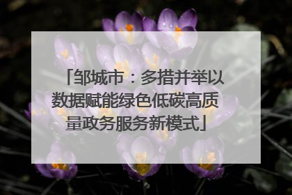 邹城市：多措并举以数据赋能绿色低碳高质量政务服务新模式