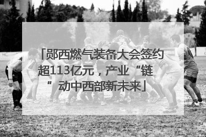 郧西燃气装备大会签约超113亿元，产业“链”动中西部新未来