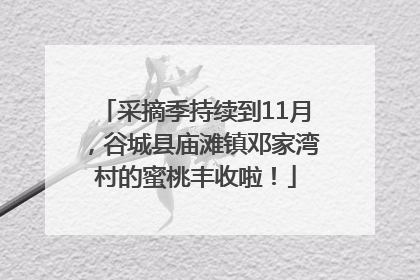 采摘季持续到11月，谷城县庙滩镇邓家湾村的蜜桃丰收啦！