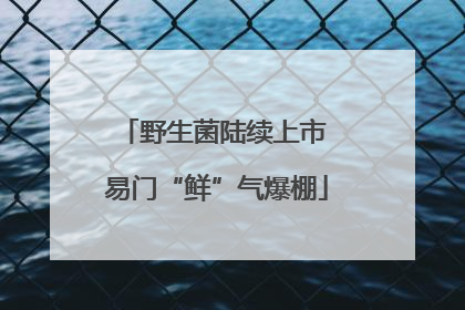 野生菌陆续上市 易门“鲜”气爆棚