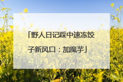 野人日记踩中速冻饺子新风口：加魔芋