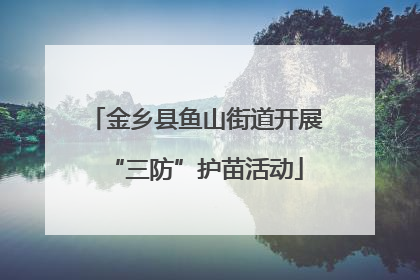 金乡县鱼山街道开展“三防”护苗活动