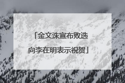金文洙宣布败选 向李在明表示祝贺