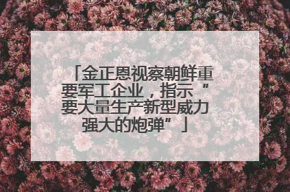 金正恩视察朝鲜重要军工企业，指示“要大量生产新型威力强大的炮弹”