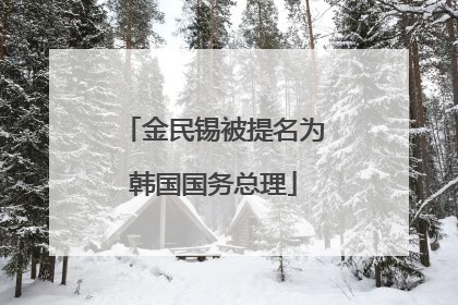 金民锡被提名为韩国国务总理