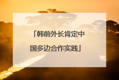 韩前外长肯定中国多边合作实践