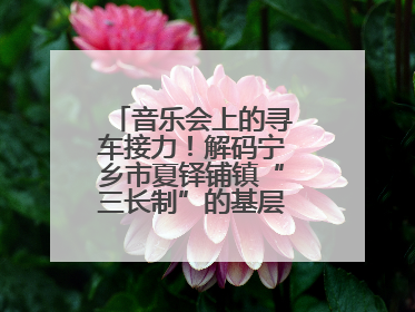 音乐会上的寻车接力！解码宁乡市夏铎铺镇“三长制”的基层治理新实践