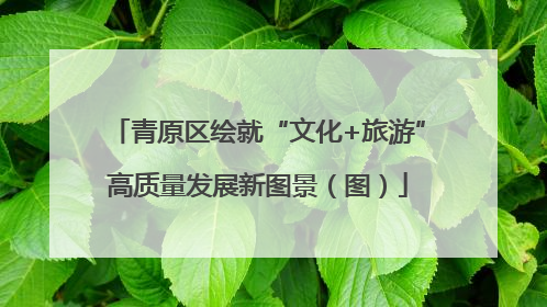 青原区绘就“文化+旅游”高质量发展新图景（图）