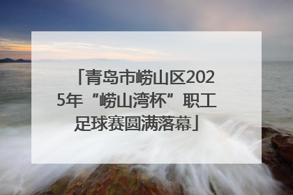 青岛市崂山区2025年“崂山湾杯”职工足球赛圆满落幕