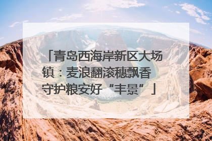 青岛西海岸新区大场镇：麦浪翻滚穗飘香 守护粮安好“丰景”