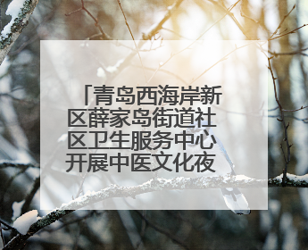 青岛西海岸新区薛家岛街道社区卫生服务中心开展中医文化夜市活动