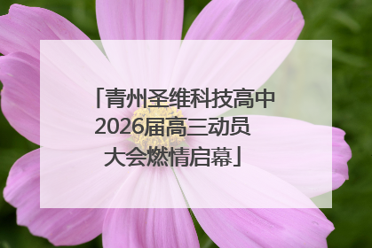 青州圣维科技高中2026届高三动员大会燃情启幕