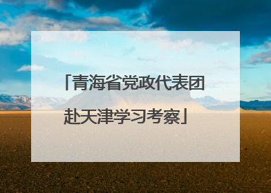 青海省党政代表团赴天津学习考察